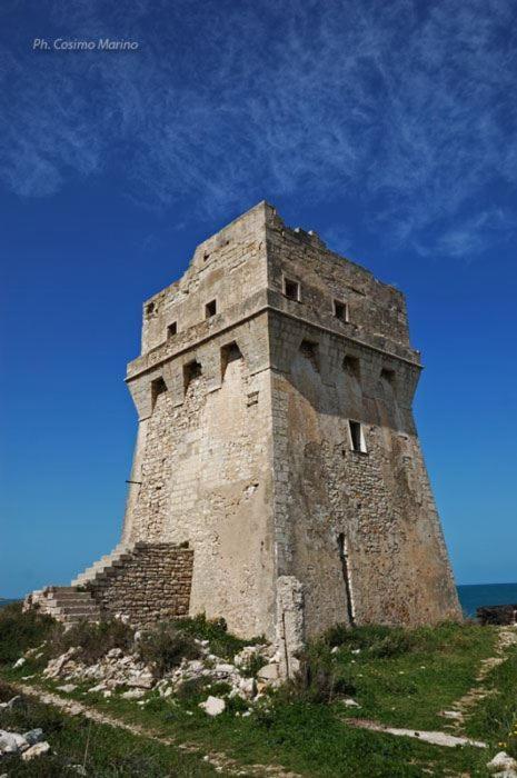 Vandelia B&B Molfetta Exteriör bild